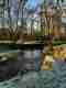 Gallery Item 6